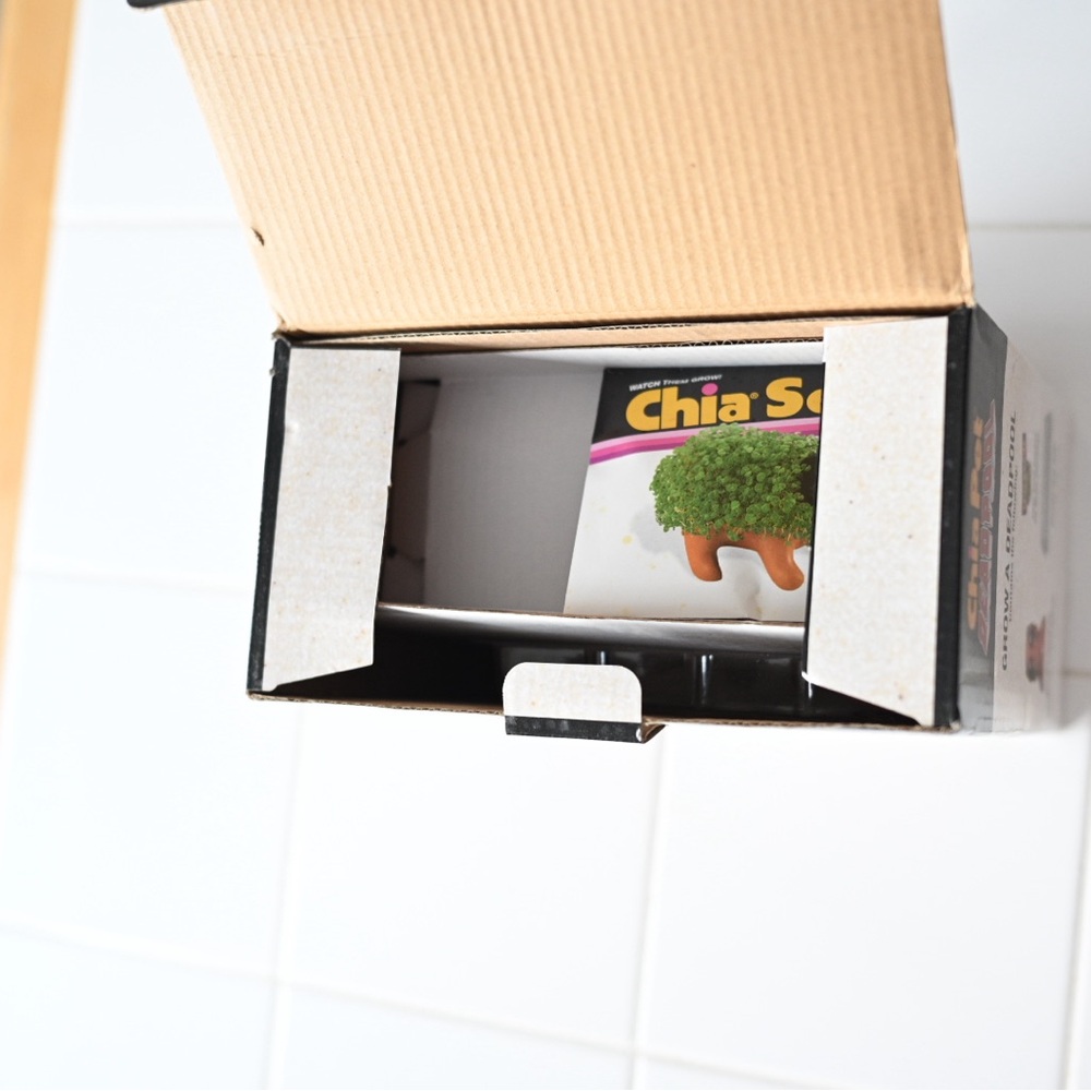 Deadpool Chia Pet Decorative Planter - New & Unused • Marvel 2018 - Picture 5 of 7